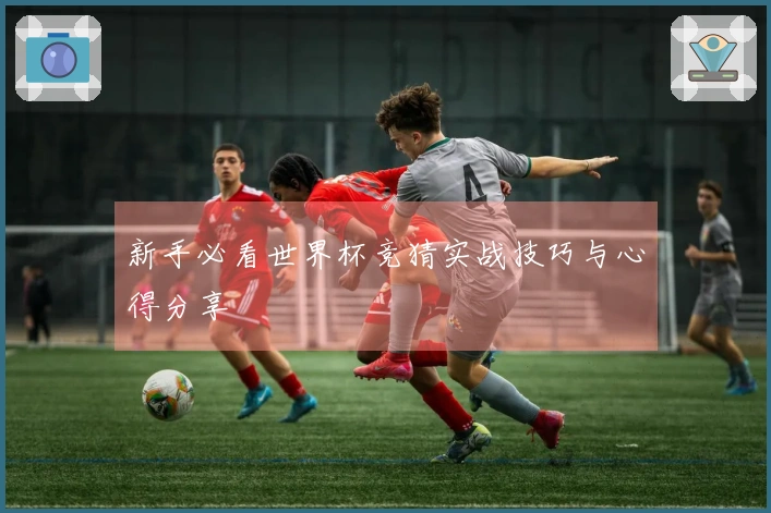 新手必看世界杯竞猜实战技巧与心得分享