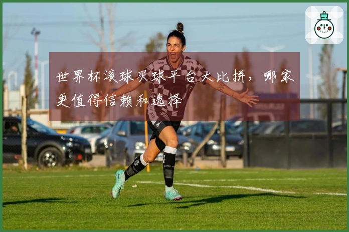 世界杯滚球买球平台大比拼，哪家更值得信赖和选择
