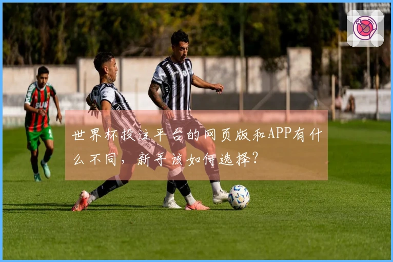世界杯投注平台的网页版和APP有什么不同，新手该如何选择？