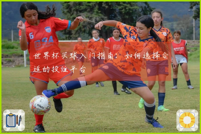 世界杯买球入门指南：如何选择合适的投注平台