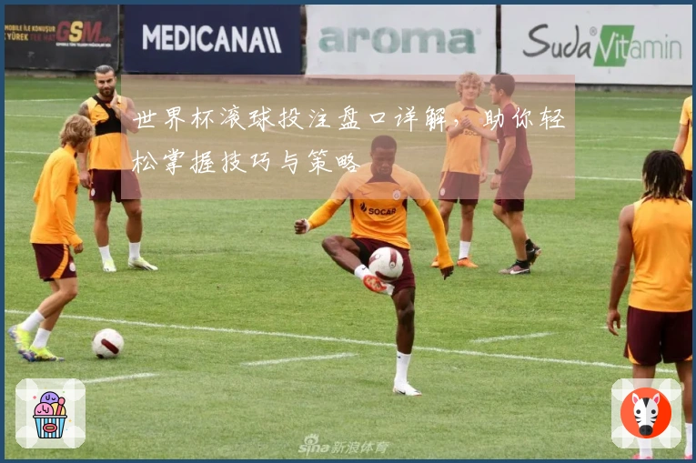 世界杯滚球投注盘口详解，助你轻松掌握技巧与策略