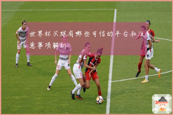 世界杯买球有哪些可信的平台和注意事项解析