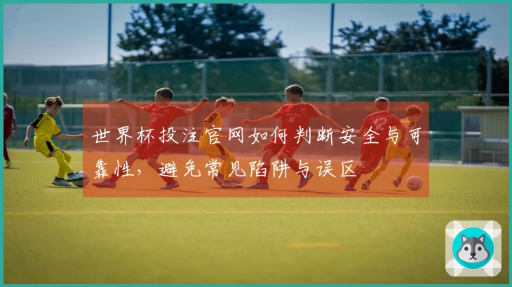 世界杯投注官网如何判断安全与可靠性，避免常见陷阱与误区