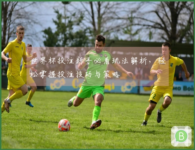 世界杯投注新手必看玩法解析，轻松掌握投注技巧与策略