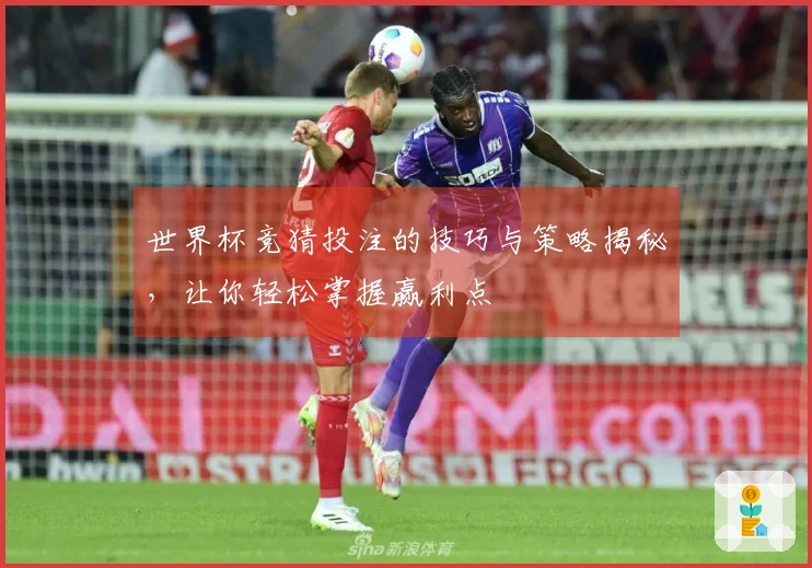 世界杯竞猜投注的技巧与策略揭秘，让你轻松掌握赢利点