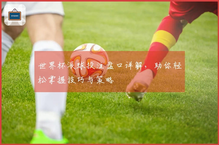 世界杯滚球投注盘口详解，助你轻松掌握技巧与策略