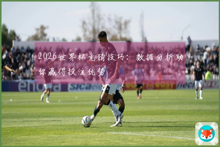 2026世界杯竞猜技巧：数据分析助你赢得投注优势