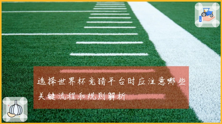 选择世界杯竞猜平台时应注意哪些关键流程和规则解析