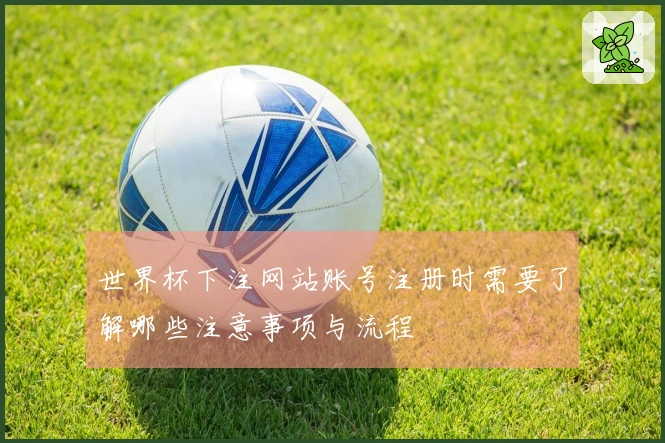 世界杯下注网站账号注册时需要了解哪些注意事项与流程