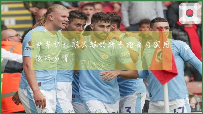 世界杯让球买球的新手指南与实用技巧分享