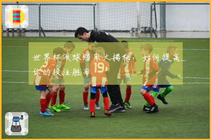 世界杯滚球赔率大揭秘，如何提高你的投注胜率