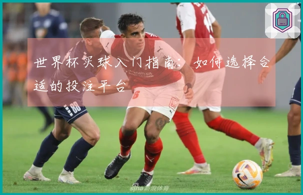 世界杯买球入门指南：如何选择合适的投注平台