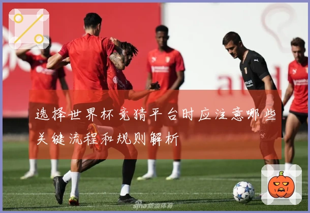 选择世界杯竞猜平台时应注意哪些关键流程和规则解析