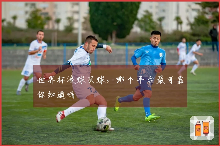 世界杯滚球买球，哪个平台最可靠你知道吗
