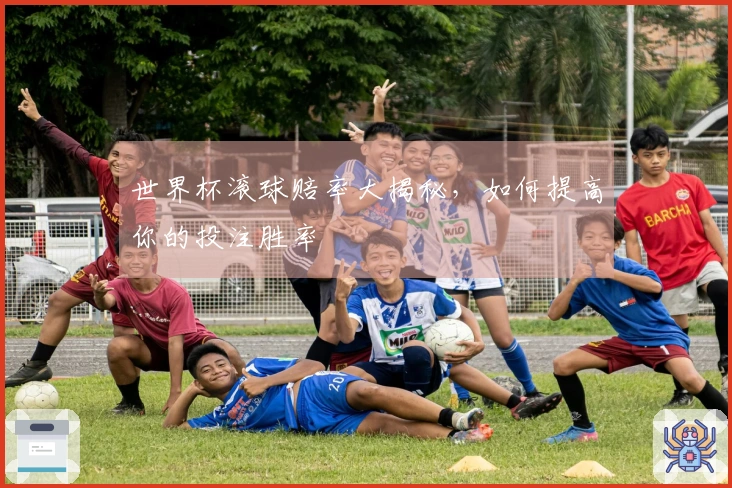 世界杯滚球赔率大揭秘，如何提高你的投注胜率