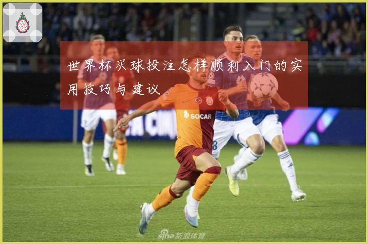 世界杯买球投注怎样顺利入门的实用技巧与建议
